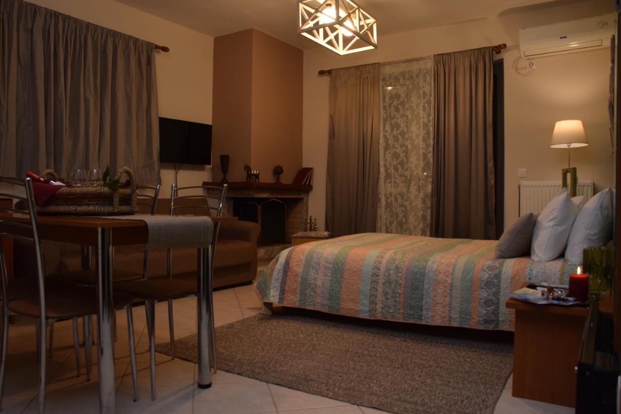 Theoni'S Apartments ซิโลกาสโตร ภายนอก รูปภาพ